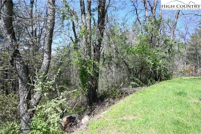 a view of a yard with plants and a bench