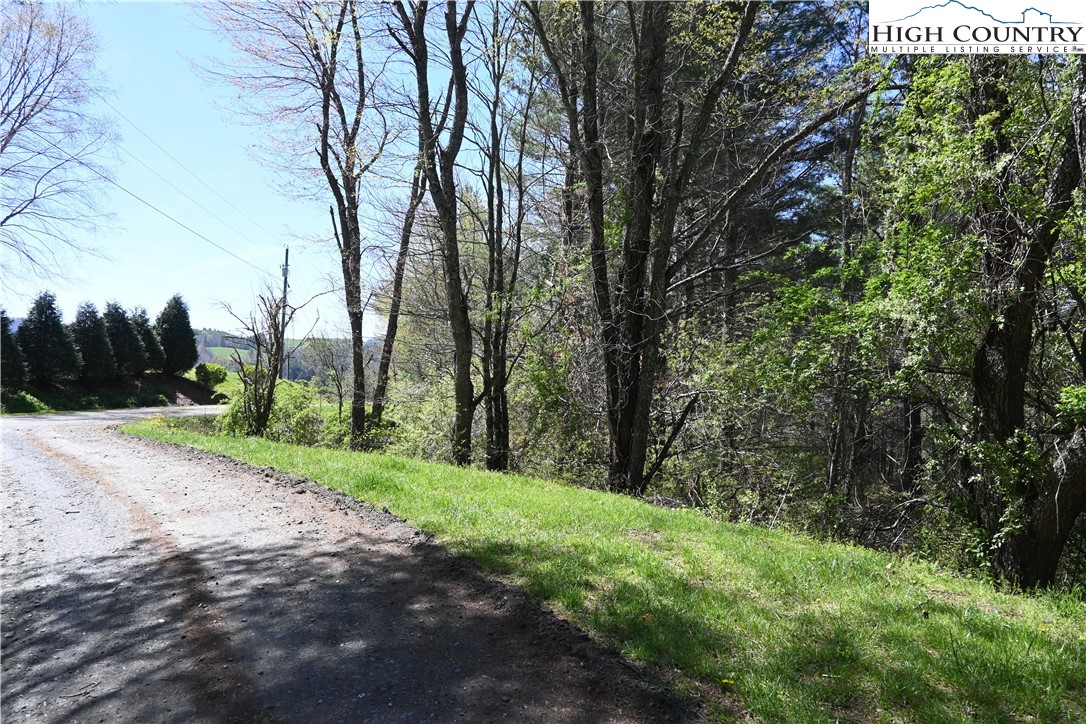 15 A River Bend Hills Road Crumpler, NC 28617 - Photo 5 of 9 a view of a yard with plants and trees