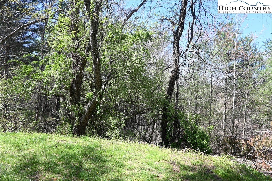 15 A River Bend Hills Road Crumpler, NC 28617 - Photo 6 of 9 a view of a yard