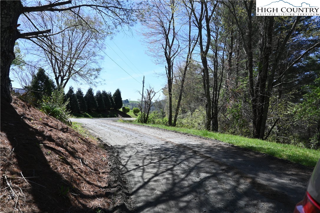 15 A River Bend Hills Road Crumpler, NC 28617 - Photo 9 of 9 a view of a backyard with large trees