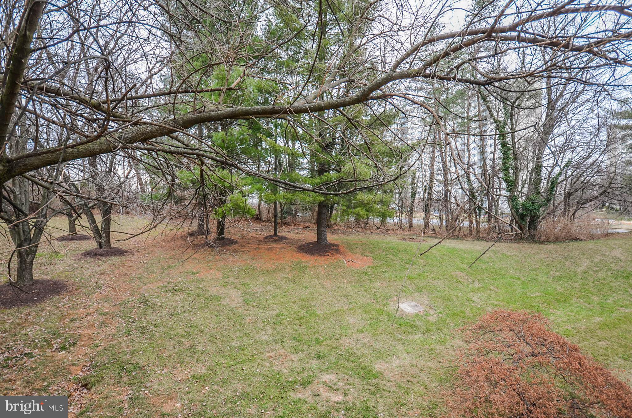 19 Sonata Court Silver Spring, MD 20901 - Photo 28 of 32 View from deck.