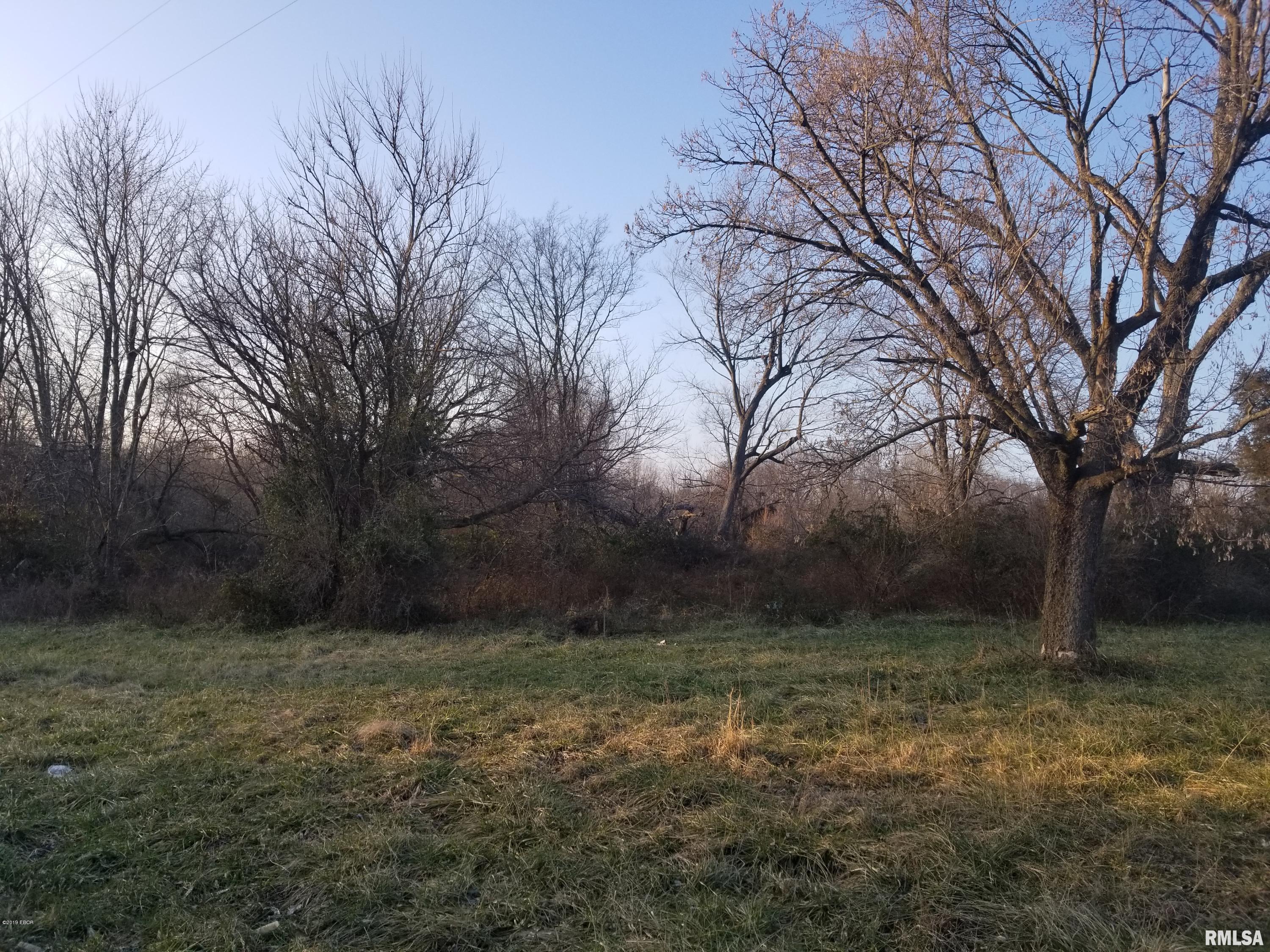 0 Logan Road West Frankfort, IL 62896 - Photo 3 of 6 Gallery Image 3