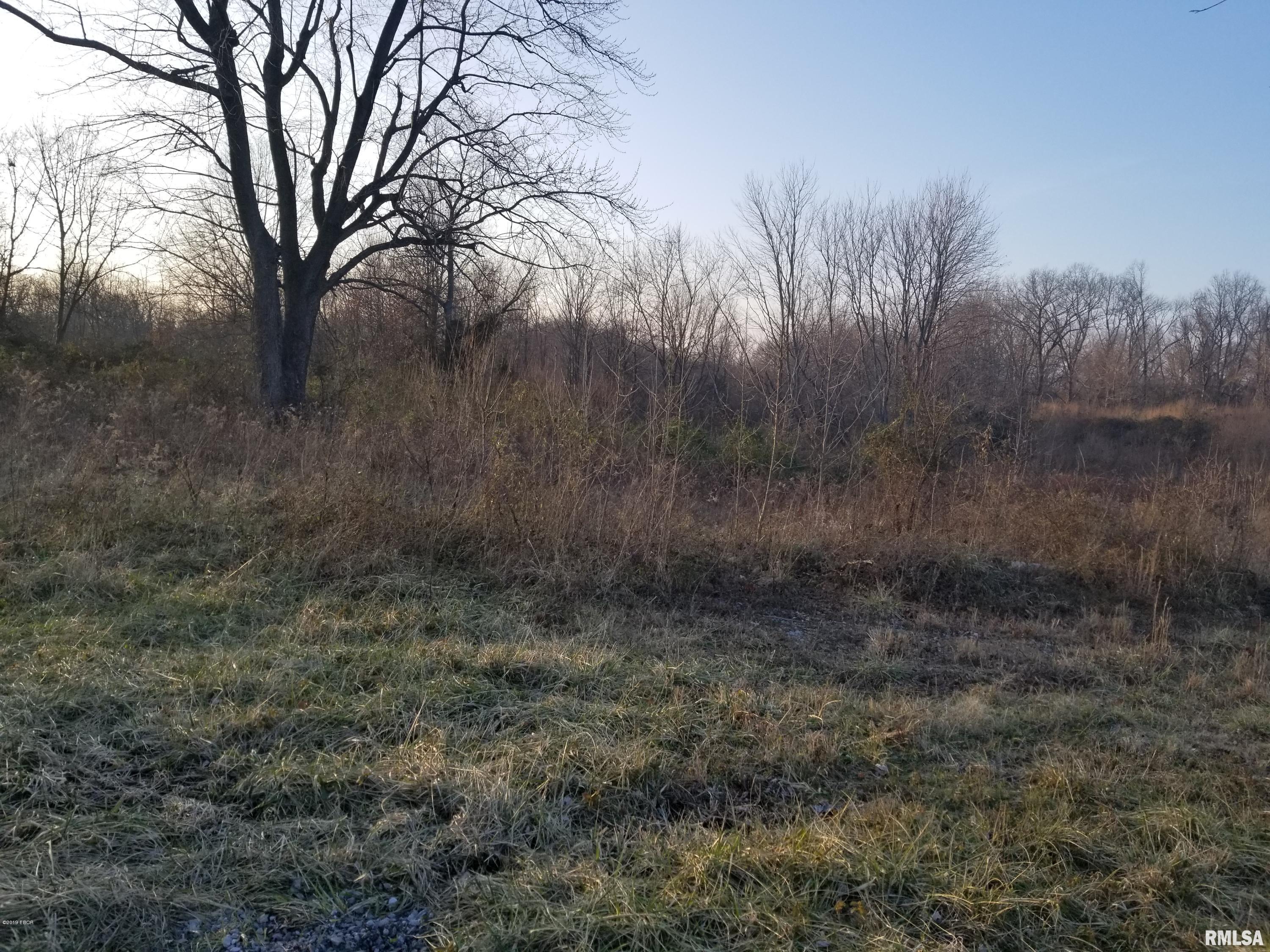 0 Logan Road West Frankfort, IL 62896 - Photo 4 of 6 Gallery Image 4
