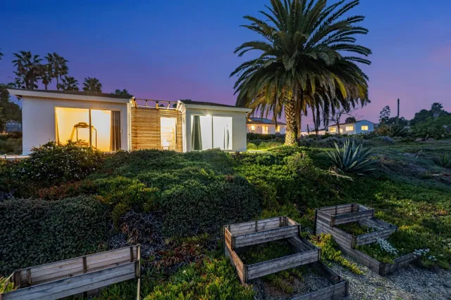 a view of a garden with plants