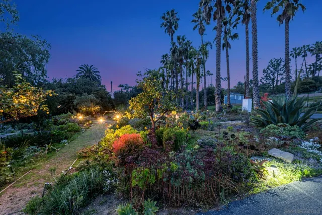 a view of a backyard