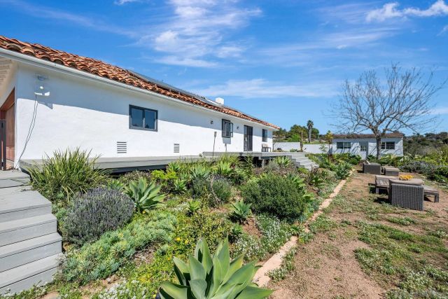 a view of a garden with plants and large trees