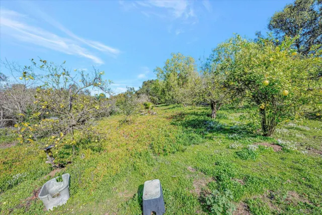 a view of a big yard with a house in the background