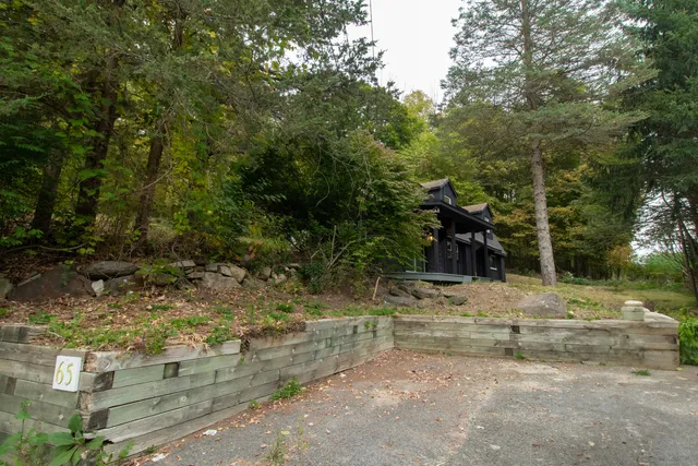 a view of a yard with trees