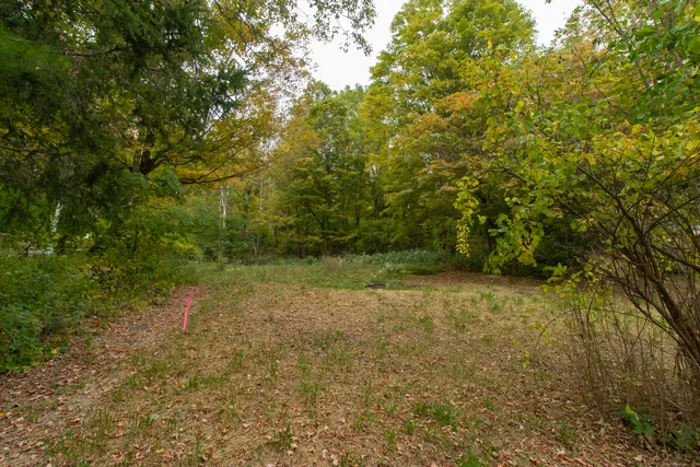 a view of a yard with a trees
