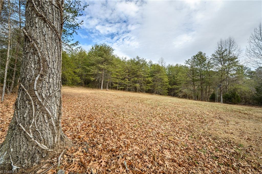655 Wind Ridge Lane Dobson, NC 27017 - Photo 32 of 50
