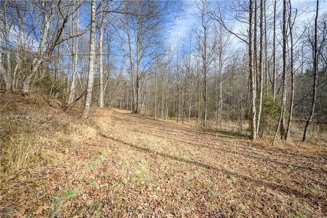 $700,000 | 655 Wind Ridge Lane, Dobson, NC 27017