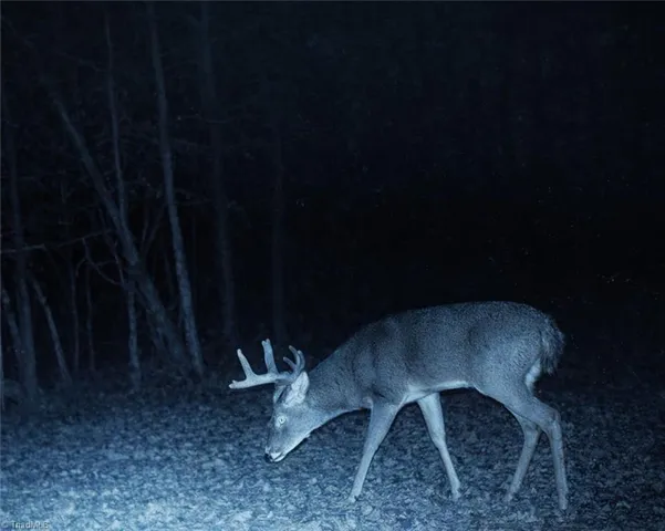 $700,000 | 655 Wind Ridge Lane, Dobson, NC 27017