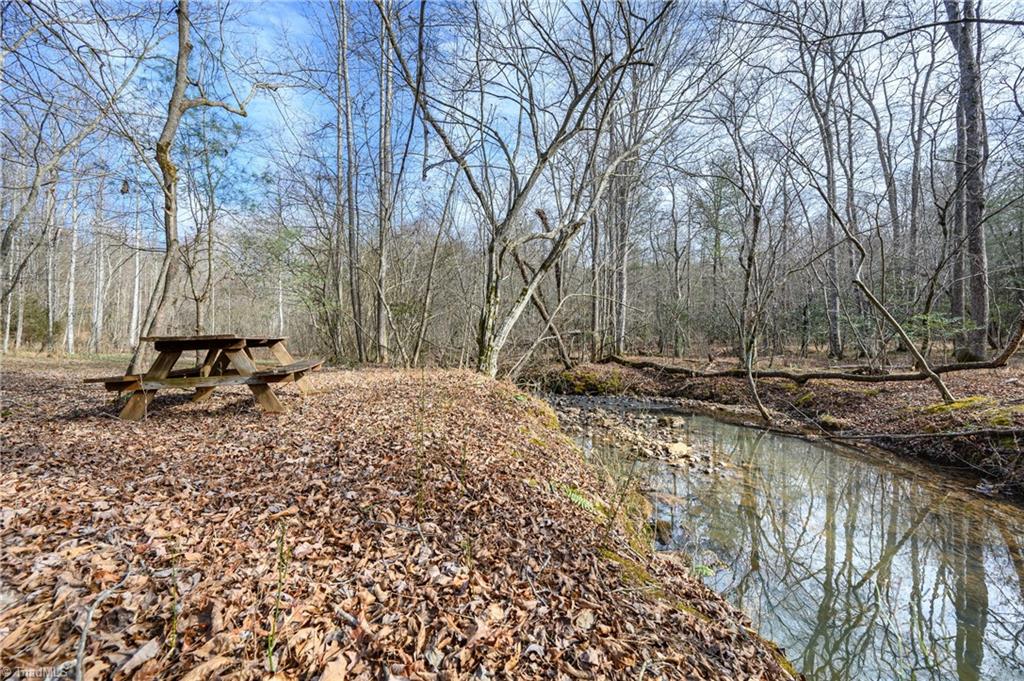 655 Wind Ridge Lane Dobson, NC 27017 - Photo 49 of 50