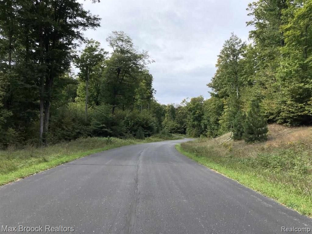 0 West Mackinaw Ridge Empire, MI 49630 - Photo 5 of 5 paved.jpeg