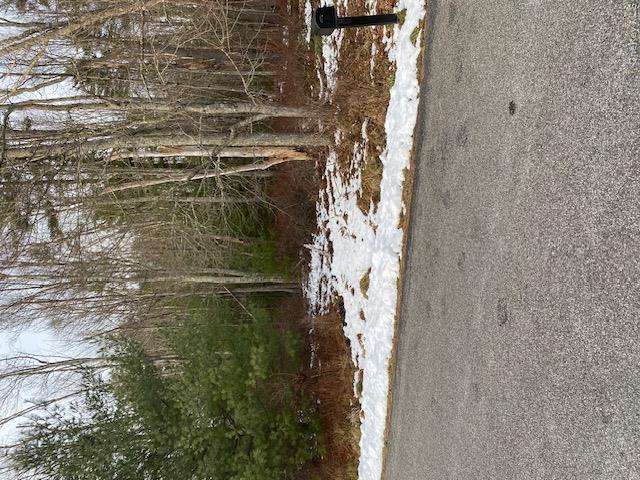 Lot 114 Old Congress Road Monticello, NY 12701 - Photo 1 of 10