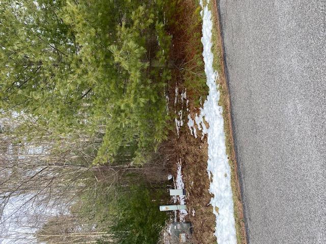 Lot 114 Old Congress Road Monticello, NY 12701 - Photo 3 of 10 a view of a yard with a tree