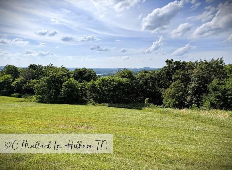 82 C Mallard Road Hilham, TN 38568 - Photo 1 of 21