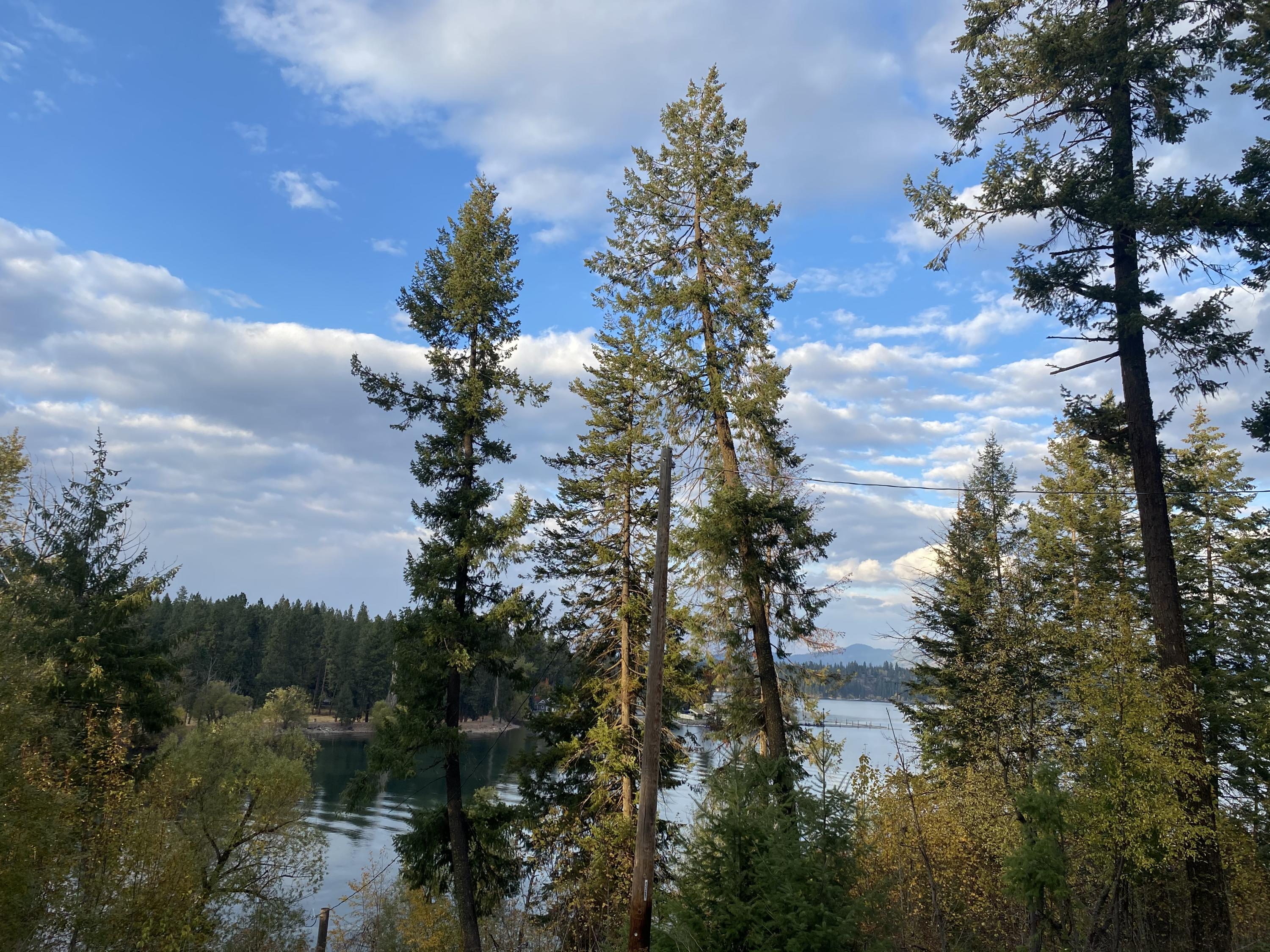 Nka East Upper Hayden Lake Road Hayden, ID 83835 - Photo 1 of 1 IMG_2180