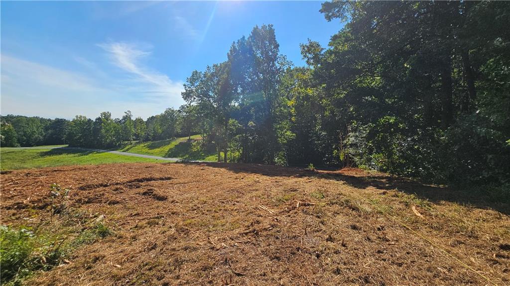Lot 1 Snote Jones Road Dallas, GA 30132 - Photo 11 of 25 a view of a yard with a tree