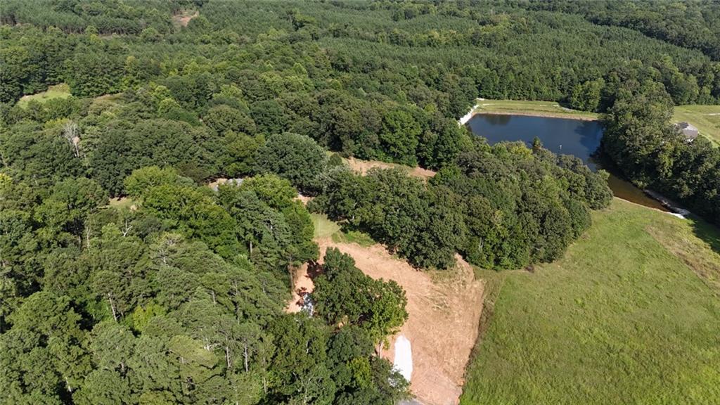Lot 1 Snote Jones Road Dallas, GA 30132 - Photo 13 of 25 a view of a lot of trees and bushes