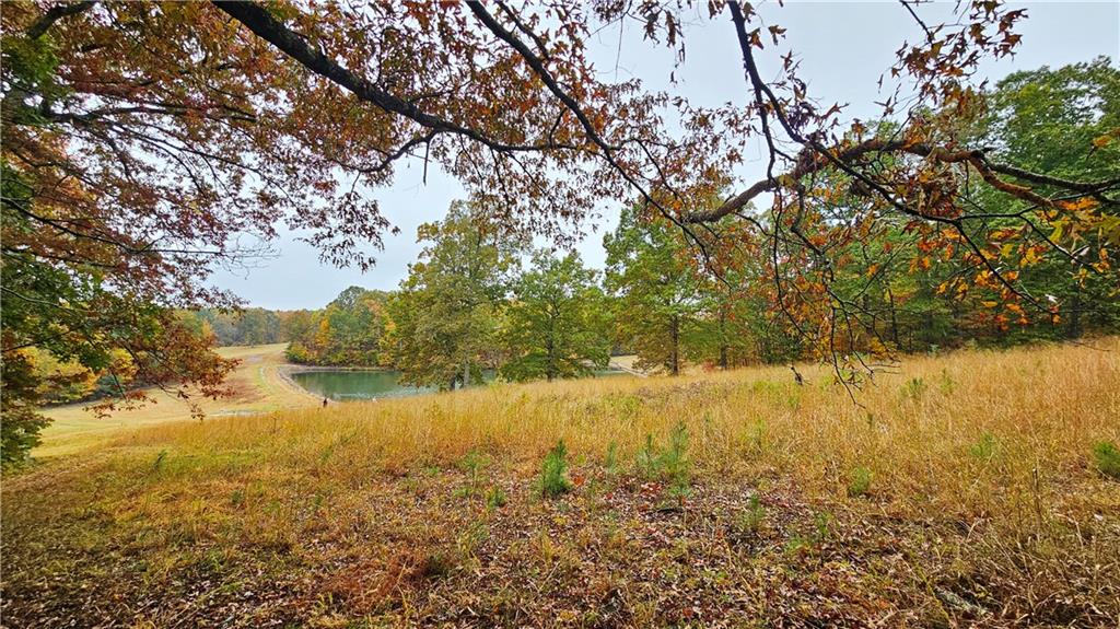 Lot 1 Snote Jones Road Dallas, GA 30132 - Photo 19 of 25 a view of lake view