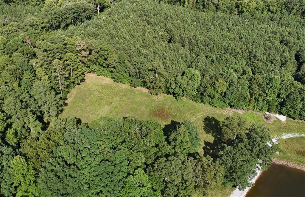 Lot 1 Snote Jones Road Dallas, GA 30132 - Photo 2 of 25 a view of a forest with a lake