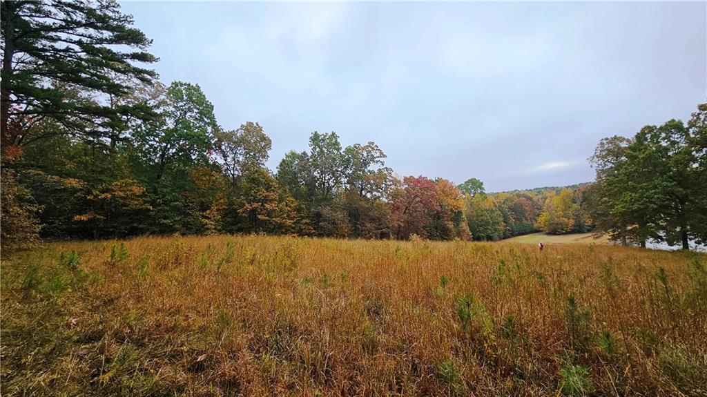 Lot 1 Snote Jones Road Dallas, GA 30132 - Photo 21 of 25 a view of an ocean