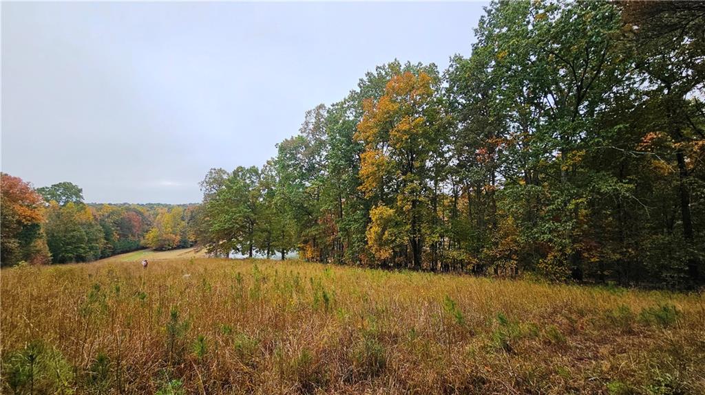 Lot 1 Snote Jones Road Dallas, GA 30132 - Photo 22 of 25 a view of outdoor space and yard