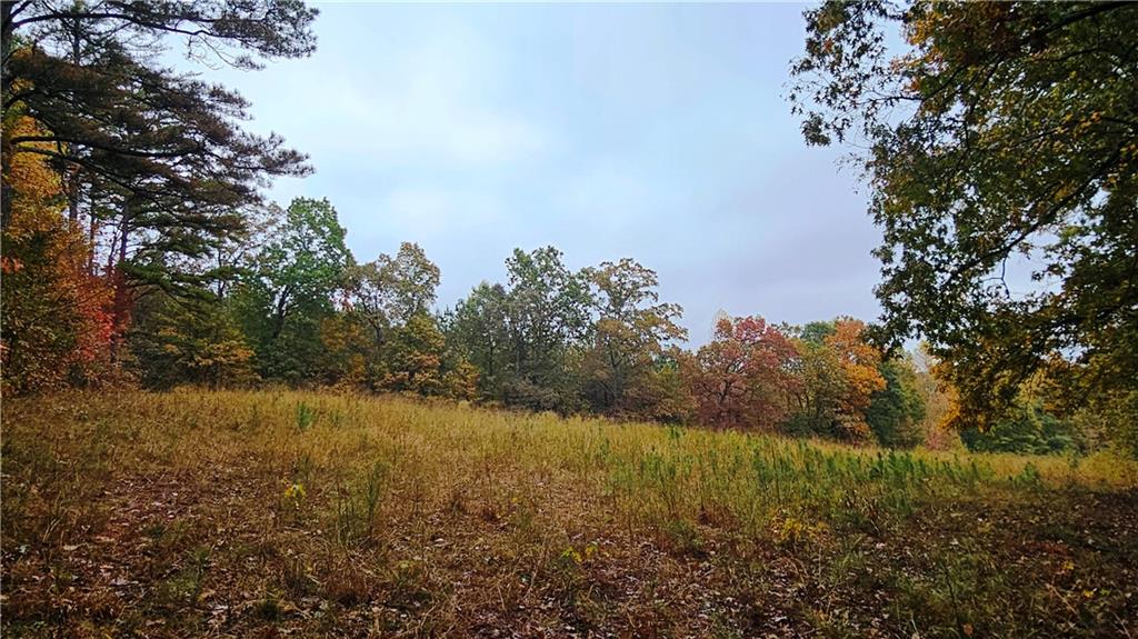 Lot 1 Snote Jones Road Dallas, GA 30132 - Photo 23 of 25 a view of a yard with a tree