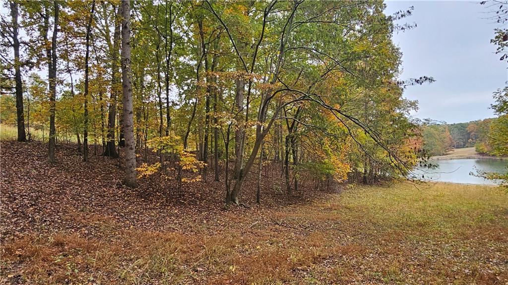 Lot 1 Snote Jones Road Dallas, GA 30132 - Photo 24 of 25 a view of backyard with large trees