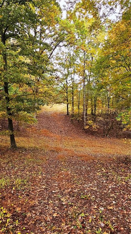 Lot 1 Snote Jones Road Dallas, GA 30132 - Photo 25 of 25 a view of dirt field with trees in the background