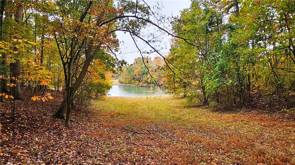 Lot 1 Snote Jones Road Dallas, GA 30132 - Photo 4 of 25 a view of lake view