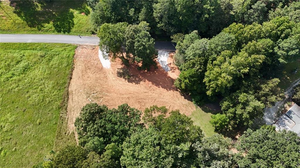 Lot 1 Snote Jones Road Dallas, GA 30132 - Photo 5 of 25 a view of a garden with large trees