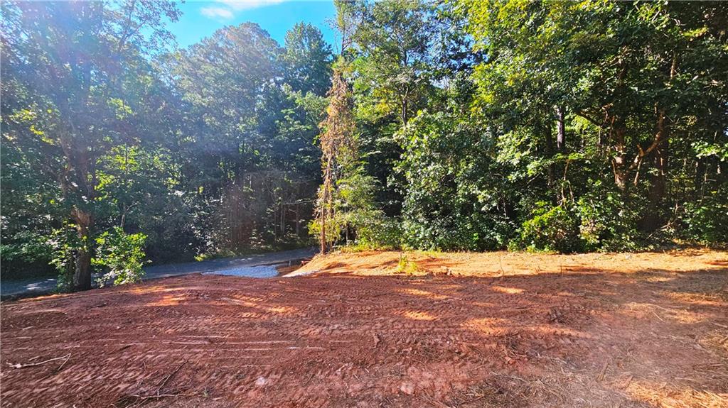 Lot 1 Snote Jones Road Dallas, GA 30132 - Photo 10 of 25 a view of a yard with a tree