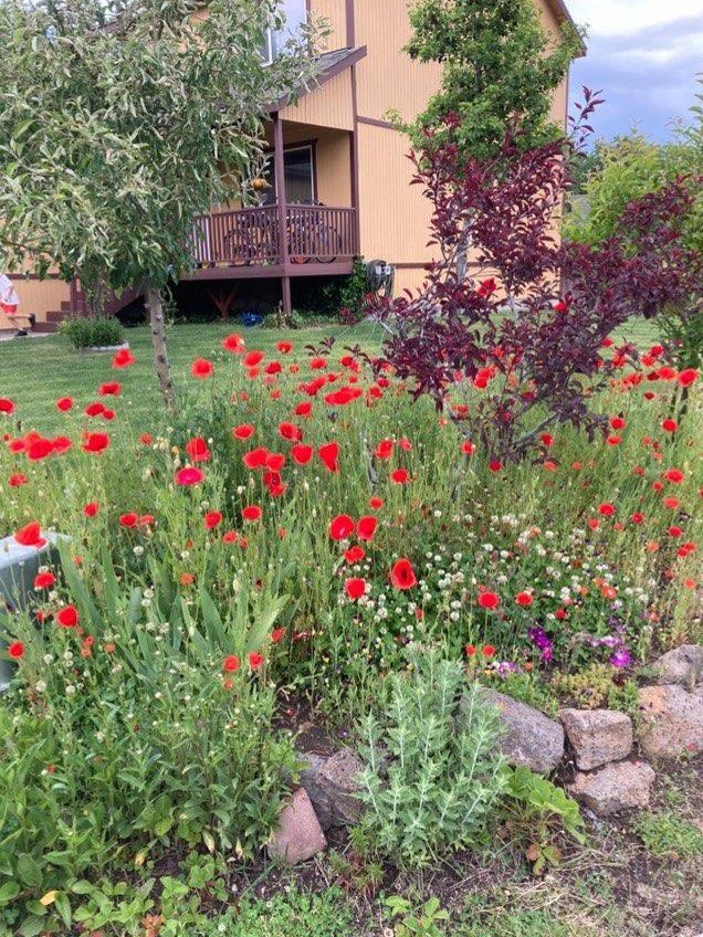 1702 Southeast Riviera Drive Bend, OR 97702 - Photo 5 of 23 Front Flowers 2