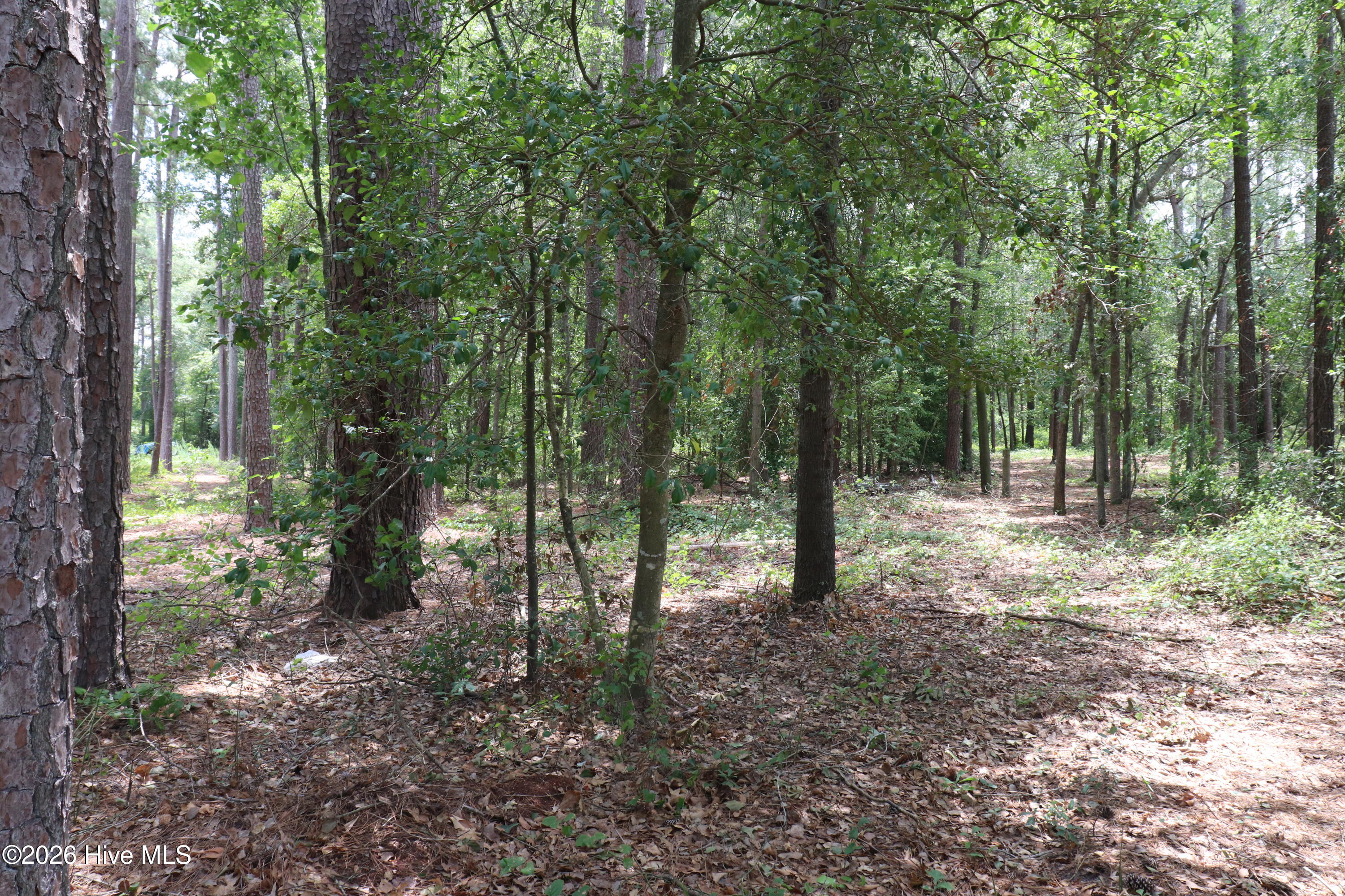 Tbd Hayne Stretch Road Roseboro, NC 28382 - Photo 16 of 31
