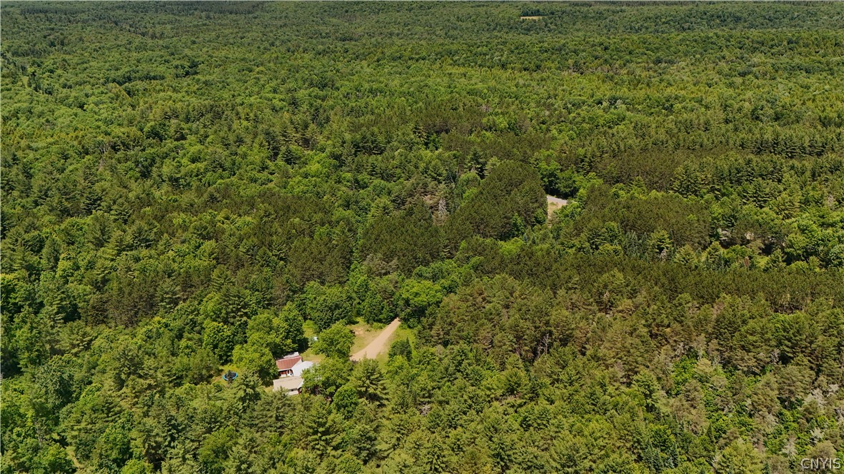 Bellingertown Road Forestport, NY 13338 - Photo 9 of 12