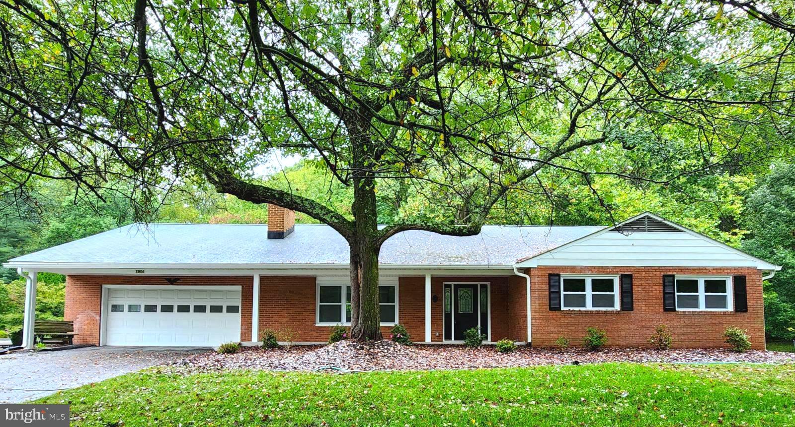 a view of a house with a yard plants and large tree