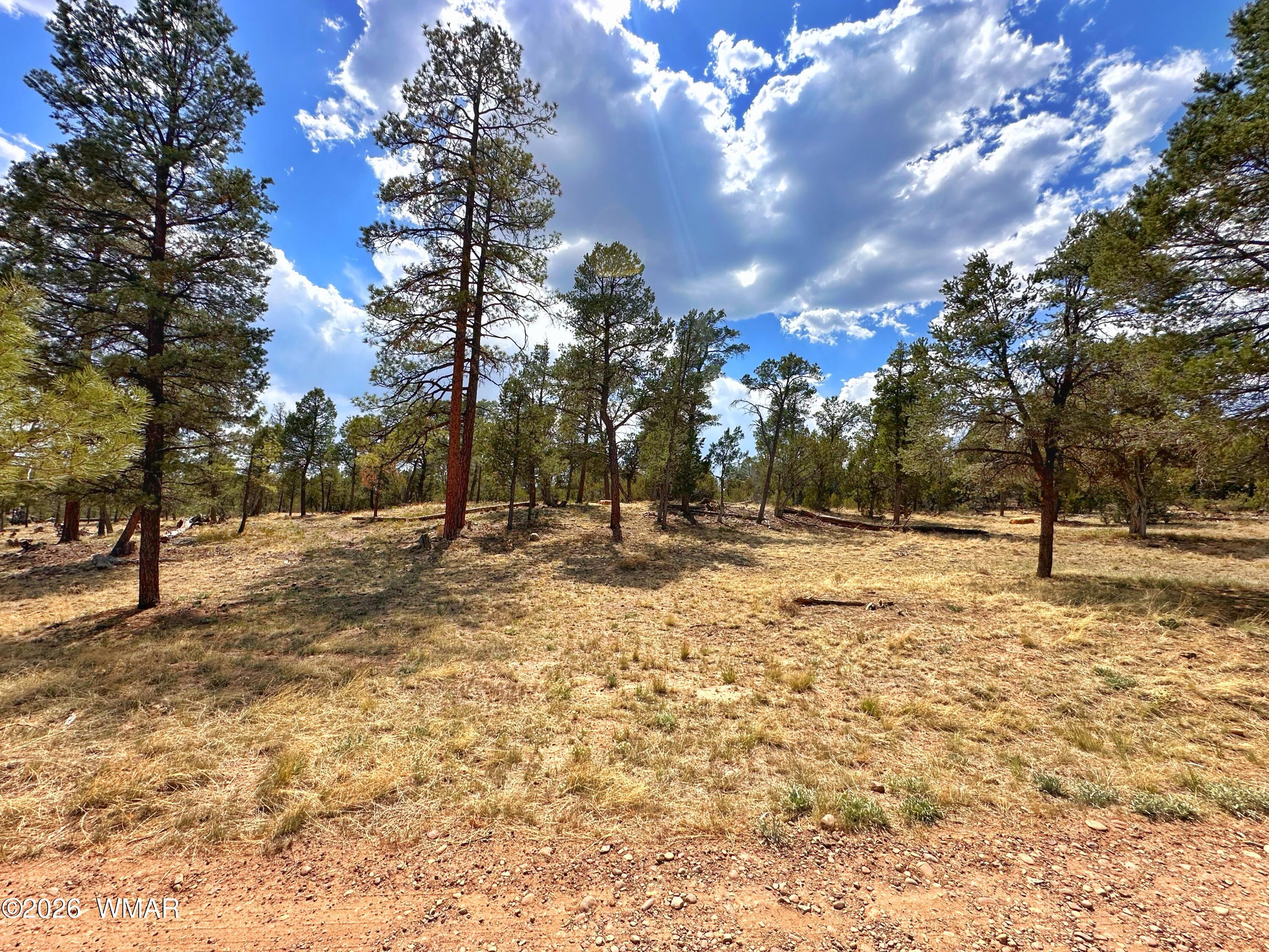 007 H Chevelon Road Heber, AZ 85928 - Photo 3 of 12