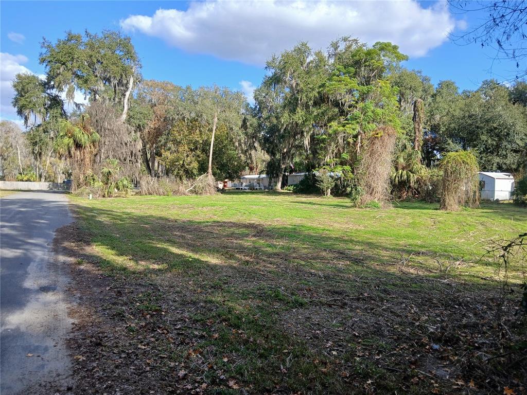 434 B Cty Rd Lake Lake Panasoffkee, FL 33538 - Photo 6 of 9 a view of a field with trees