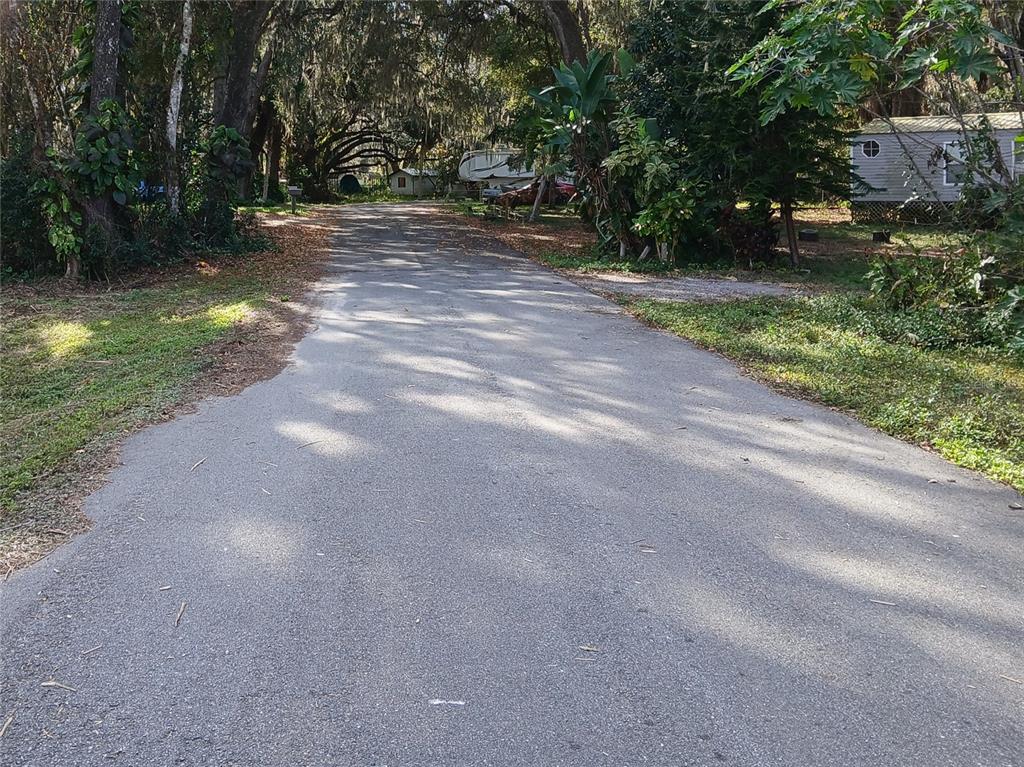 434 B Cty Rd Lake Lake Panasoffkee, FL 33538 - Photo 8 of 9 a view of backyard with green space