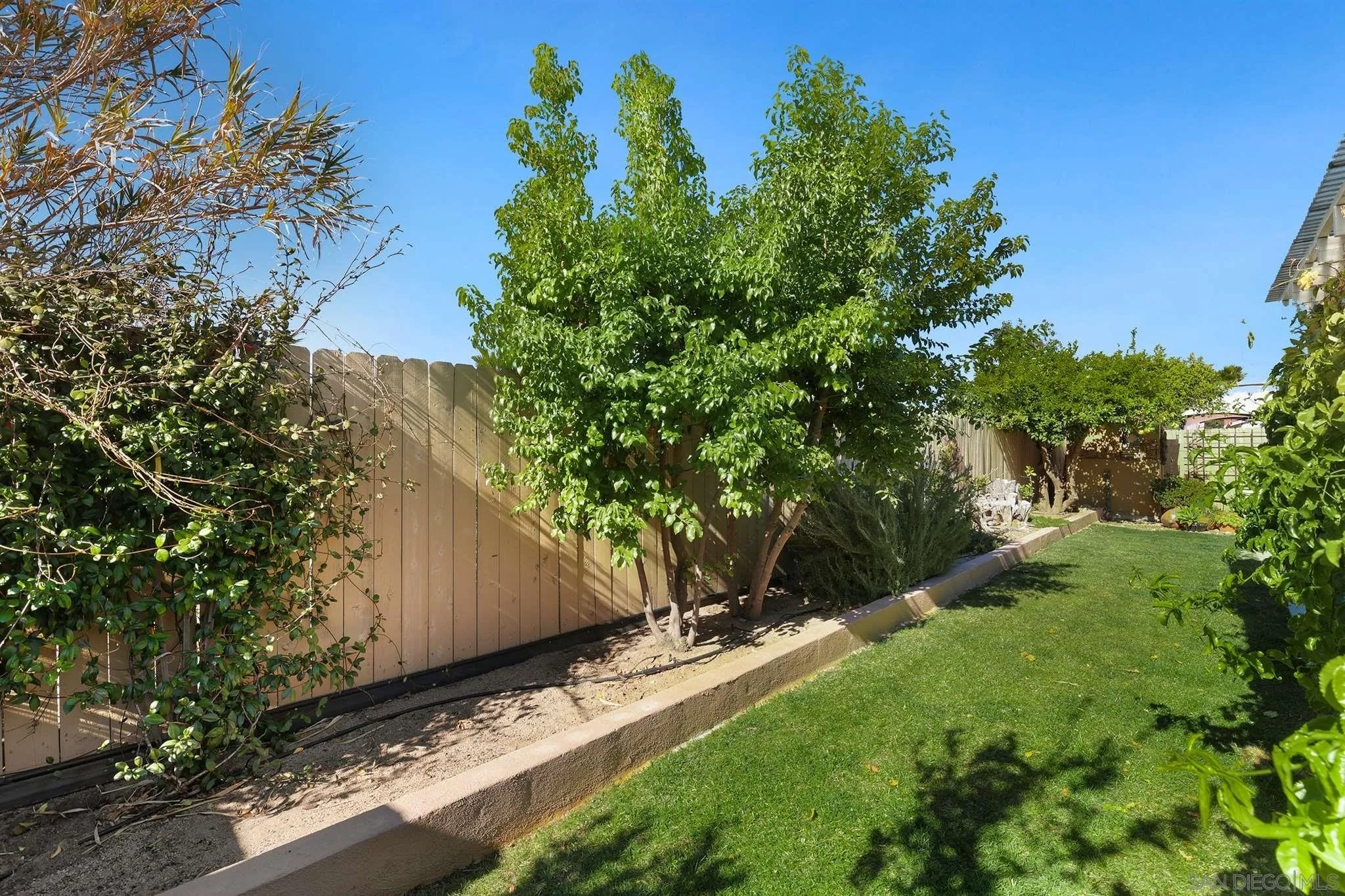 13716 Frame Road Poway, CA 92064 - Photo 28 of 34 a backyard of a house with lots of green space