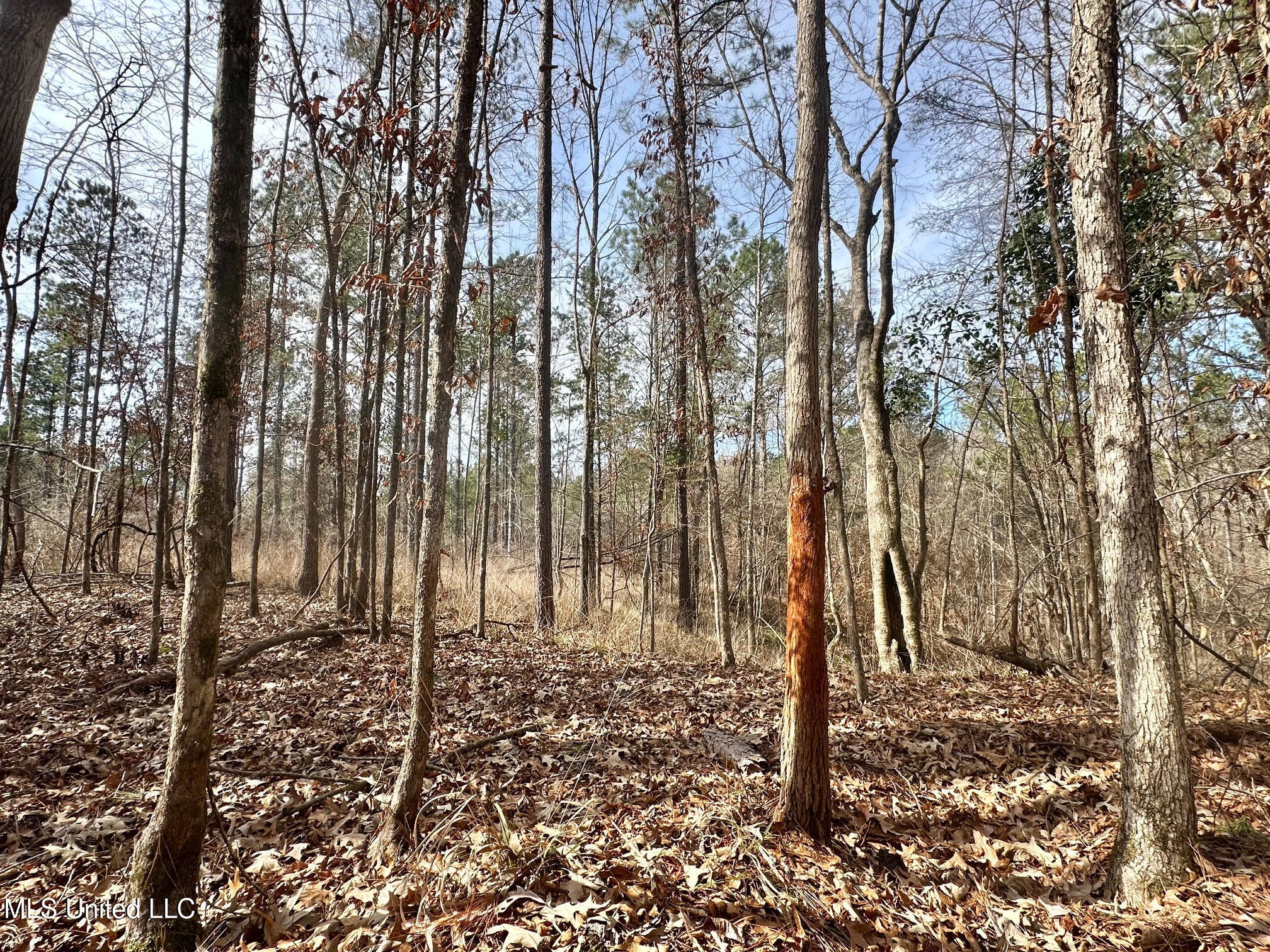 2 Dry Grove Road Terry, MS 39170 - Photo 15 of 24 537