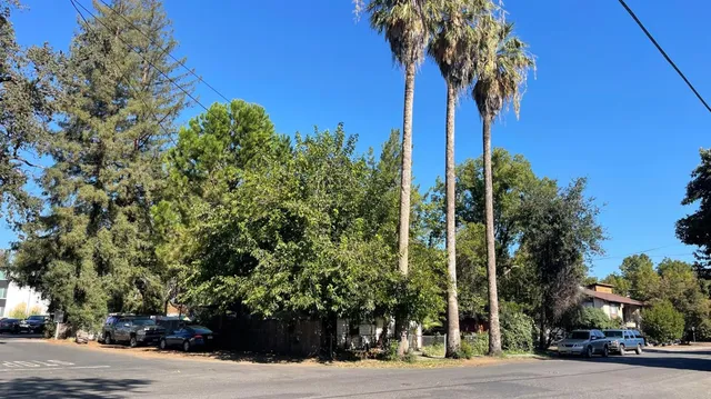 front view of a house with a tree