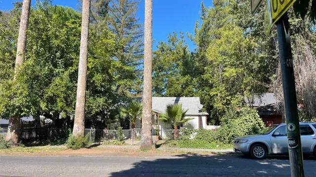a view of street with large trees