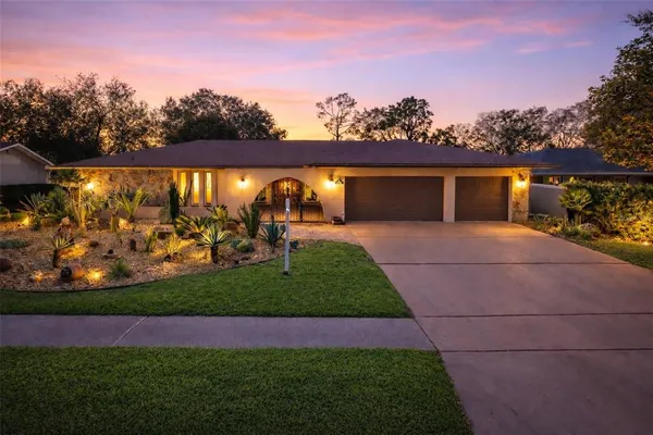 a view of a backyard