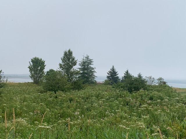 0 South Lubec Road Lubec, ME 04652 - Photo 5 of 6 Cobb Lubec 4