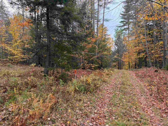 $249,900 | 1-2 Hall Road, Bristol, NH 03222