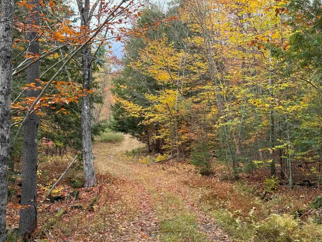 $249,900 | 1-2 Hall Road, Bristol, NH 03222