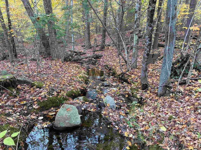 $249,900 | 1-2 Hall Road, Bristol, NH 03222